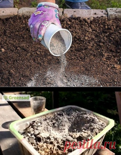 (69) Одноклассники
