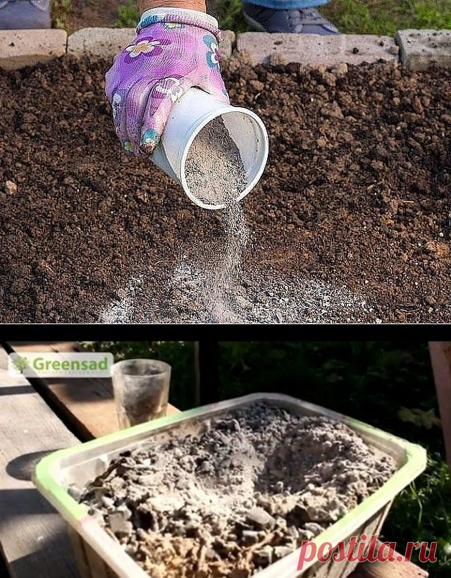 (69) Одноклассники