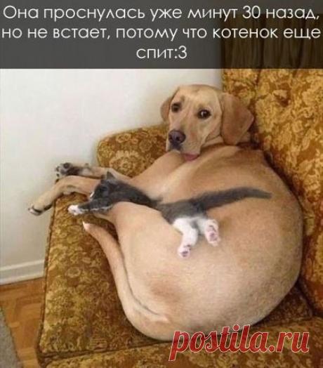 ((((Положительное Настроение))))
Ольга Торбина (Краснова)