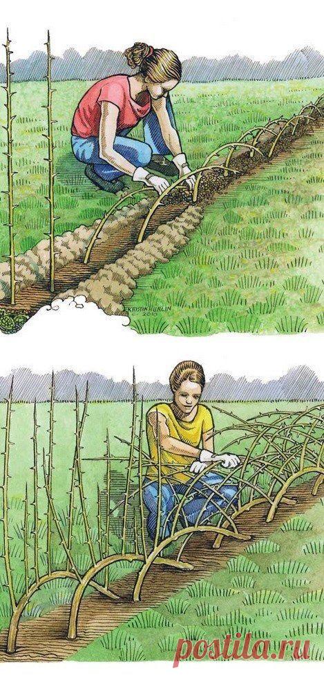 "Строим" забор | Делаем сами | Заборы, ограждения и т.п.