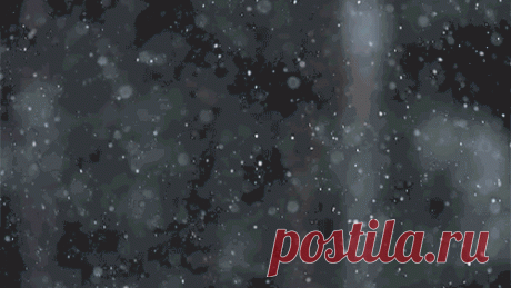 ЖИВЫЕ ФОТОГРАФИИ. AMAZING GIF – Google+