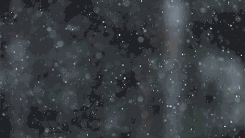 ЖИВЫЕ ФОТОГРАФИИ. AMAZING GIF – Google+
