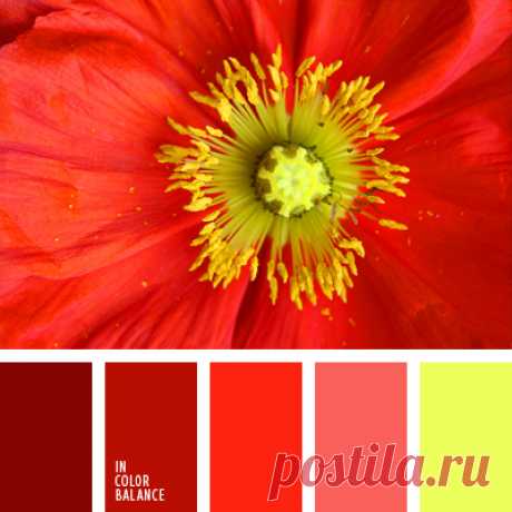 Цветы, деревья — источник вдохновения! | BepHuK собирает друзей