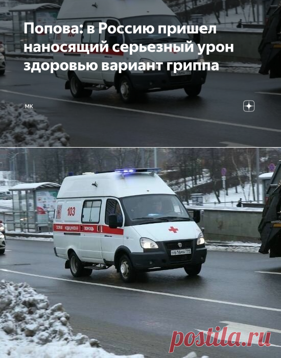 2022-Попова: СВИНОЙ ГРИПП-в Россию пришел наносящий серьезный урон здоровью| МК | Дзен