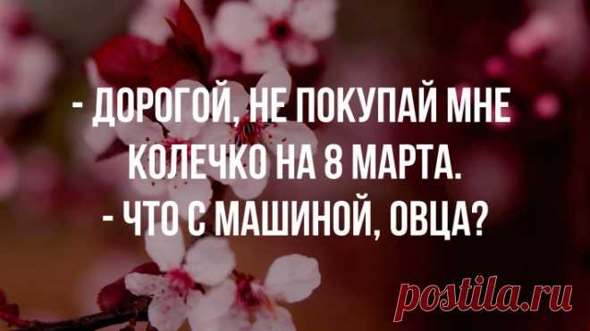 Лучшие анекдоты про 8 марта, Mixer.lv