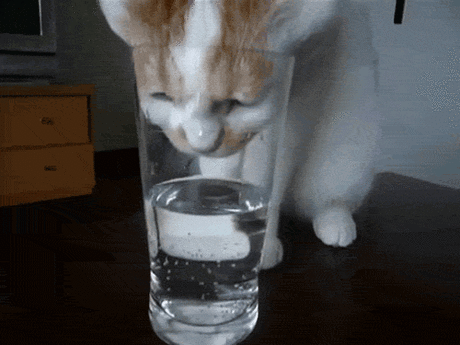 Как приучить себя пить много воды