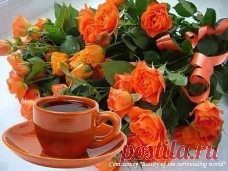 (57) Elena Slisarenko