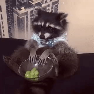 Это я, когда наступает ночь ...)))