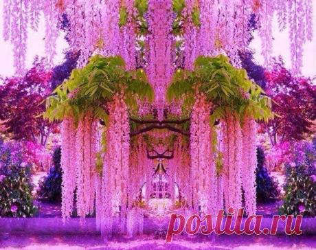 Удачные Кадры (@great_shot8) | Твиттер