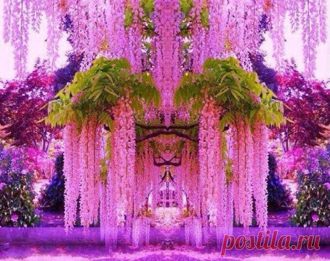 Удачные Кадры (@great_shot8) | Твиттер