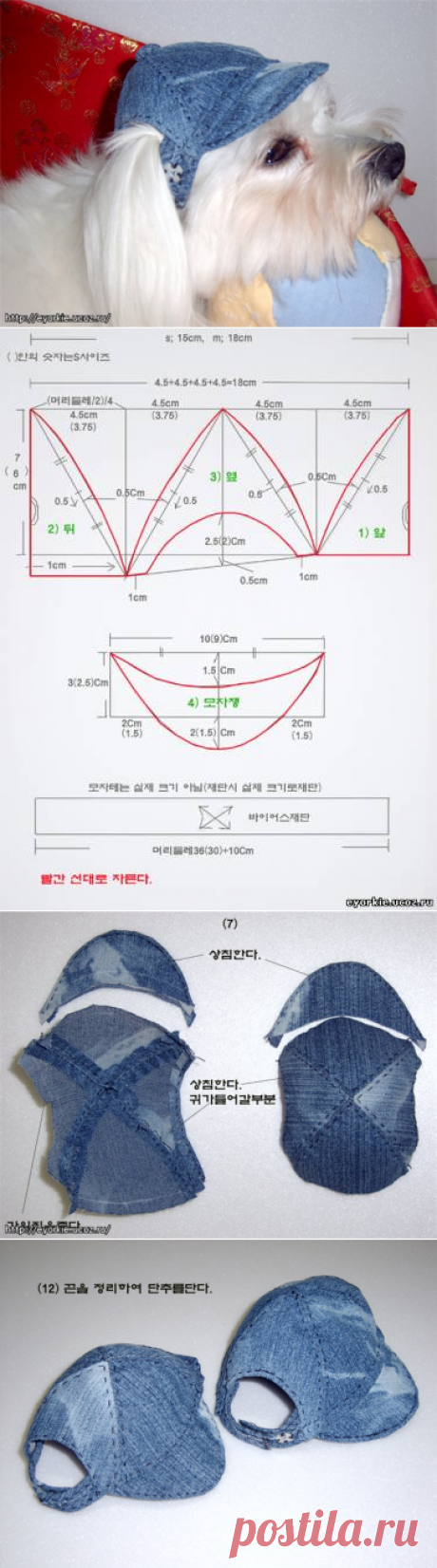 Шьем кепочку для собачки - Форум НАШИ ЙОРКИ И ИХ ДРУЗЬЯ