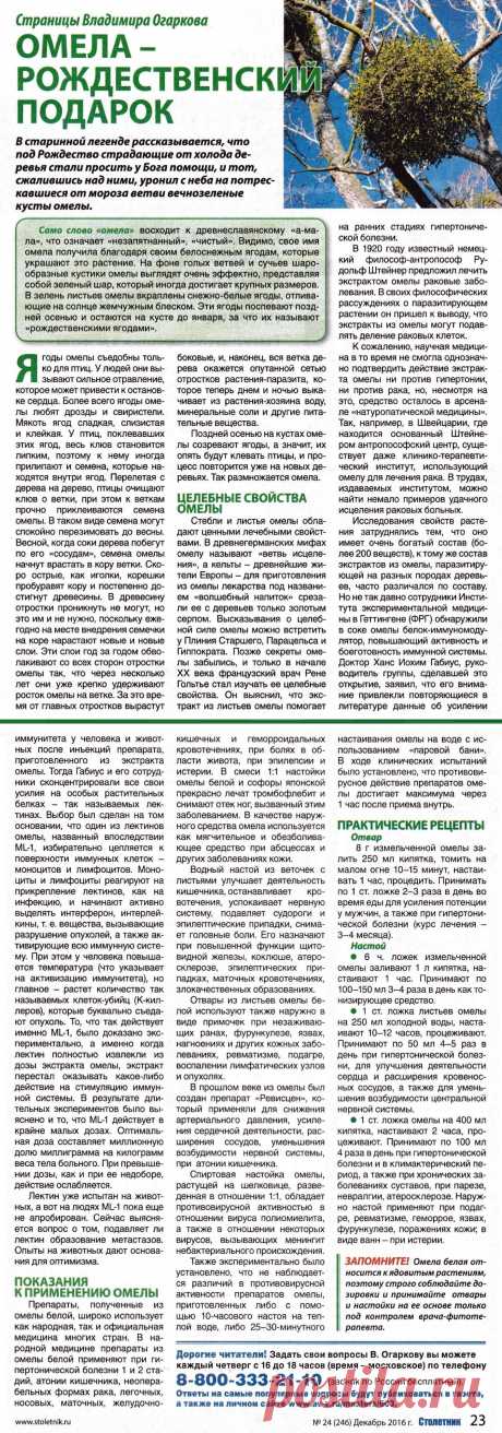 Омела - рождественский подарок