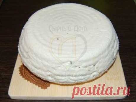 Адыгейский сыр | Рецепты сыра | Сырный Дом: все для домашнего сыроделия