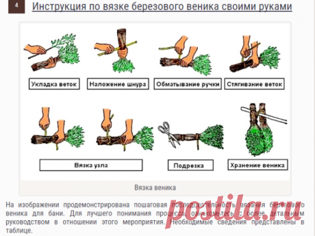 Как сделать веник для бани из березы: сборка, процесс связки