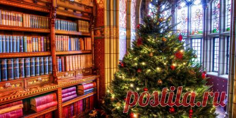 Обои праздник, новый год, рождество, елка, подарки, комната, шкаф, книги, арка, окно, фреска 960x480, №64005