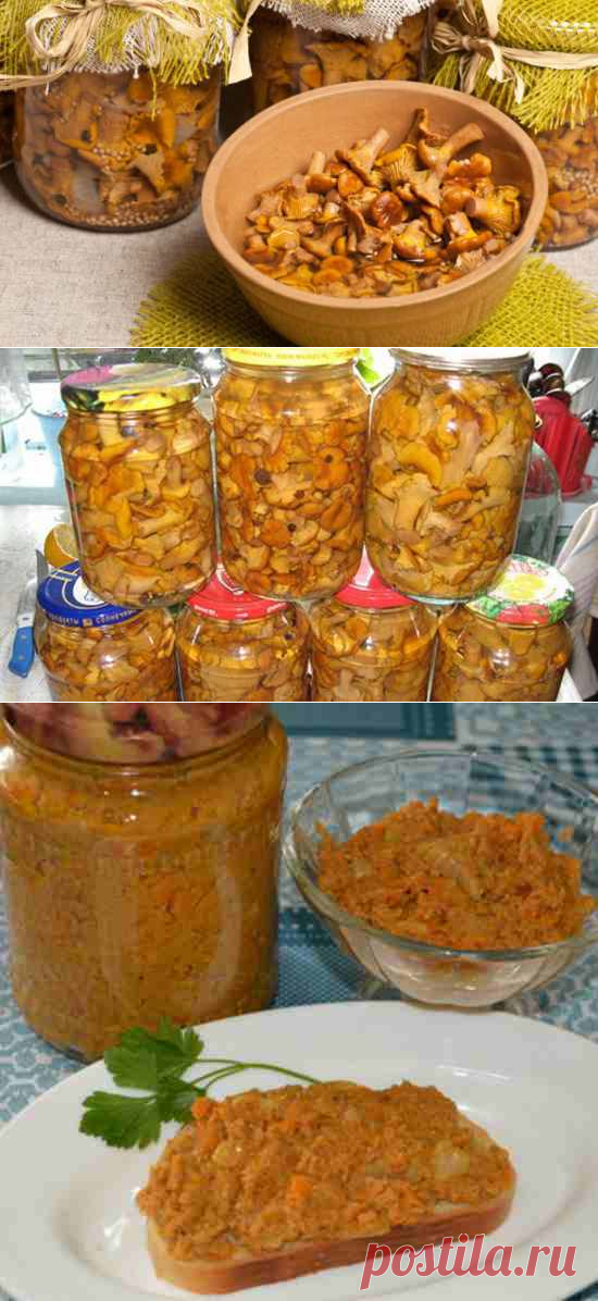 Грибы лисички на зиму. Соление, маринование, заморозка, сушка
