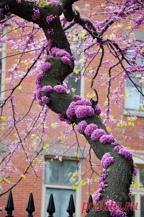 Найдено на сайте whimsicalepiphany.tumblr.com.