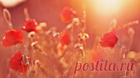 ᴼᴿᴵᴳᴵᴺᴬᴸ   SМАЙЛИКИ   (ړײ)
ღМилана ღ