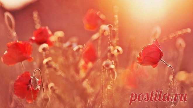 ᴼᴿᴵᴳᴵᴺᴬᴸ   SМАЙЛИКИ   (ړײ)
ღМилана ღ