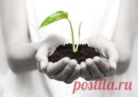 Мы видим мир не таким, какой он есть, а таким как мы сами… Большинство из нас, к сожалению, не видят реального мира. В результате мы проживаем заурядную жизнь, мало чем отличающуюся от жизней наших родителей.Начинаем мыслить и смотреть на жизнь через призму возможностей, а не через призму страха! И помним, мы начинаем это делать уже сейчас, мир, как и возможности никого не ждут. С чего начать