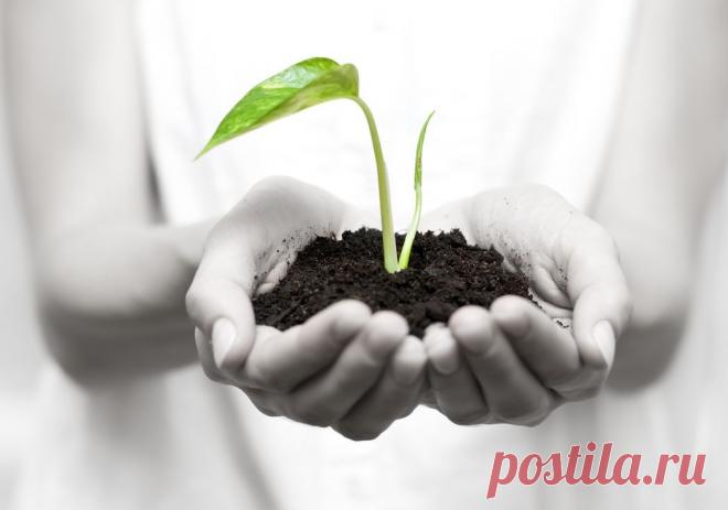 Мы видим мир не таким, какой он есть, а таким как мы сами… Большинство из нас, к сожалению, не видят реального мира. В результате мы проживаем заурядную жизнь, мало чем отличающуюся от жизней наших родителей.Начинаем мыслить и смотреть на жизнь через призму возможностей, а не через призму страха! И помним, мы начинаем это делать уже сейчас, мир, как и возможности никого не ждут. С чего начать