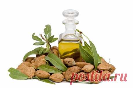 Миндальное масло для волос: возможности средства, рецепты масок