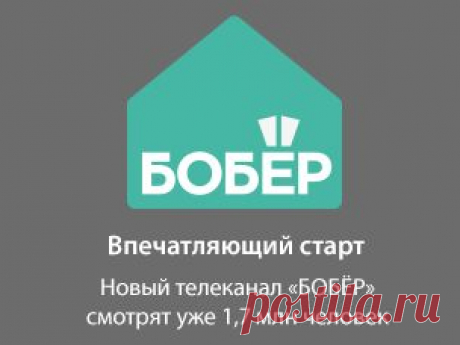 Информация о канале - Телеканал Бобёр