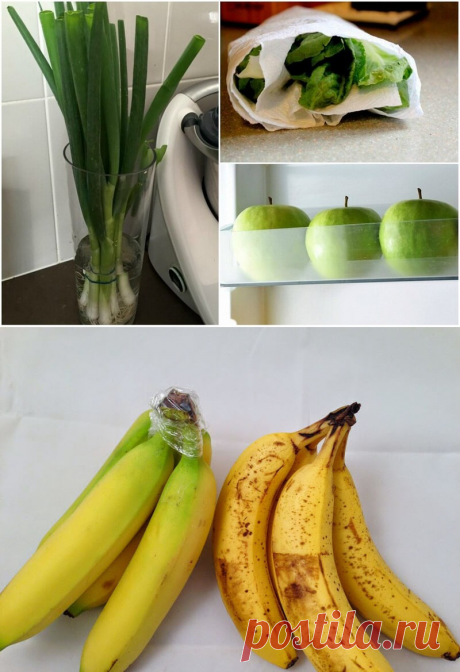 9 хитростей, которые помогут продуктам дольше оставаться свежими