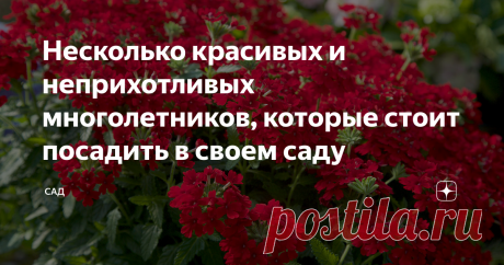 Несколько красивых и неприхотливых многолетников, которые стоит посадить в своем саду  1. Аквилегия. Цветки аквилегии крупные, достигающие 10 см в диаметре. Окраска цветков может быть разнообразной. В зависимости от вида и сорта соцветия могут быть простыми или махровыми. Аквилегию можно использовать в групповых посадках многолетников, рабатках, миксобордерах. Эти цветы не только неприхотливы, но и выносливы. Они будут расти при любой погоде. К почвам аквилегия также не тр...