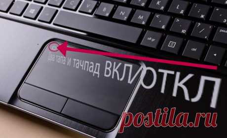 Как отключить мышку на ноутбуке: о технических и программных способах подробно
