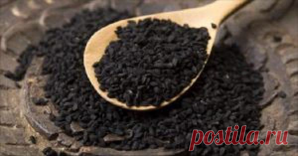 Это король всех растений! Помогает от множества болезней! Примите к сведению! - TIME4LIME