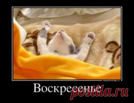 Семь русских оскорблений. Корни бранных слов.