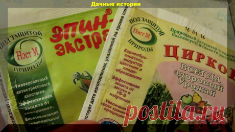 Как правильно применять "Эпин Экстра" и "Циркон" летом на даче. Не попадитесь на обман. И какой из них лучше? | Дачные истории | Яндекс Дзен