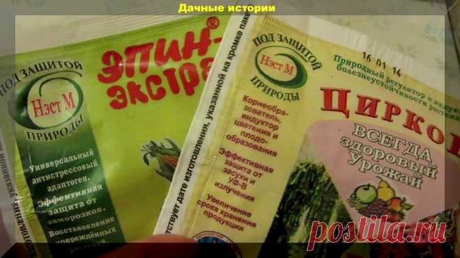 Как правильно применять 