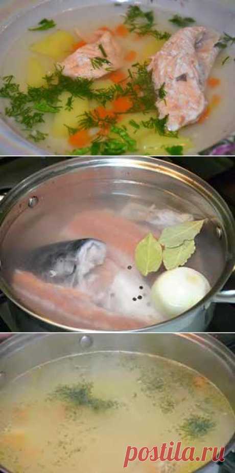 Уха из семги