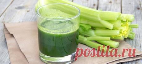 Странички жизни