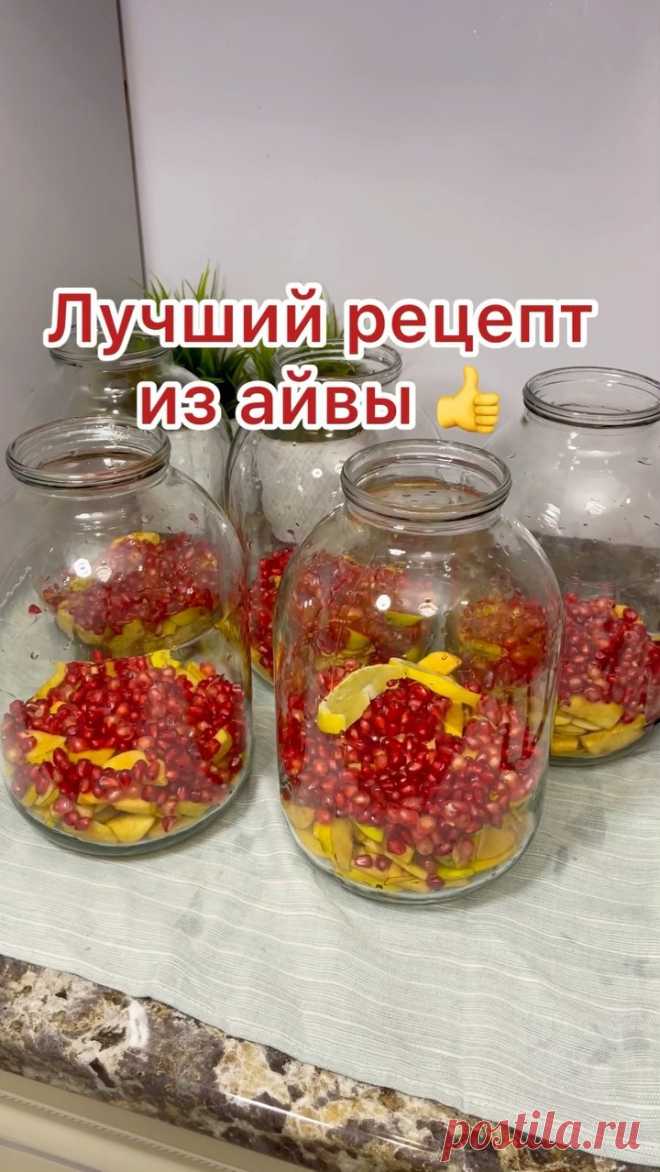 kuraeva_zalmu в Instagram: 