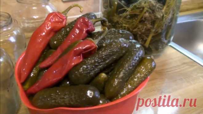Хрустящие Огурцы Бочковым Способом Забытый Простой Рецепт Без Уксуса в Банках  ✧ Ирина Кукинг
Хрустящие огурцы бочковым способом.
Очень простой и быстрый рецепт без уксуса.
Попробуйте - это очень...
Огурцы на зиму.
Рецепт хрустящих огурцов без стерилизации.
Как замариновать огурцы на зиму?
Маринованные огурцы рецепт.
Огурчики на зиму в банках.
Вкусные маринованные огурчики.
Засолка огурцов в литровых банках. *************************
* ...
ОГУРЦЫ НА ЗИМУ.
БЕЗ СТЕРИЛИЗАЦИИ.
БЫСТРО И ПРОСТО.
МАР…