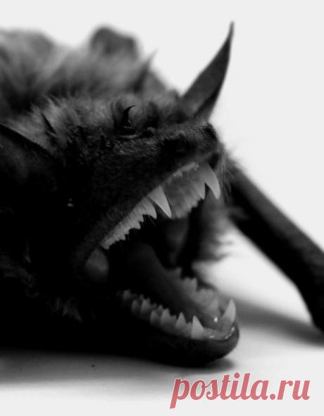 Мы любовь свою схоронили
Крест поставили на могиле.
&quot;Слава Богу!&quot; - сказали оба...
Только встала любовь из гроба,
Укоризненно нам кивая:
- Что ж вы сделали? Я живая!..