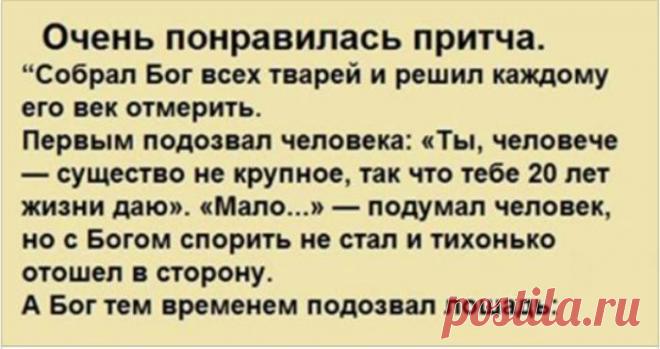 Эта красивая притча расскажет людям о том, каким все должно быть “Собрал Бог всех тварей и решил каждому его век отмерить. Первым подозвал...