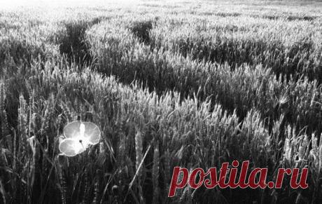 Ежедневное чудо - 
не чудо 
Ежедневное горе - 
не горе. 
Настоящее горе 
Показать полностью…