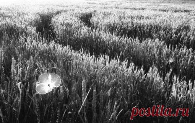 Ежедневное чудо - 
не чудо 
Ежедневное горе - 
не горе. 
Настоящее горе 
Показать полностью…