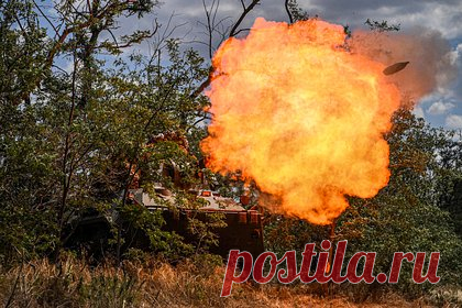 Российский боец рассказал об оставленных в лесополосах телах солдат ВСУ