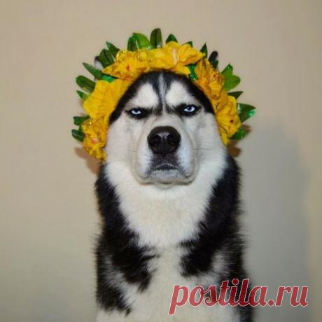 chego-tebe-nadobno-starche-images-big.jpg (Изображение JPEG, 640 × 640 пикселов)