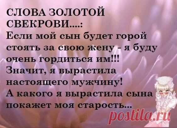 (64) Pinterest
