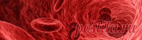 Трансплантация костного мозга в Израиле
Костный мозг - основной кроветворный орган человека: стволовые клетки костного мозга преобразуются в клетки крови (эритроциты, лейкоциты, тромбоциты), необходимые для нормальной жизнедеятельности организма. При развитии гематологических и онкологических заболеваний (анемия, гемофилия, лейкемия) костный мозг утрачивает способность нормально производить  кровяные клетки.