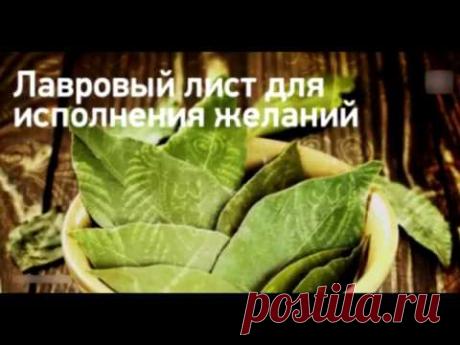 Дешевый лавровый лист способен исполнить любое ваше желание