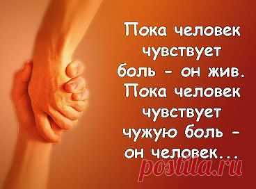 (48) Одноклассники