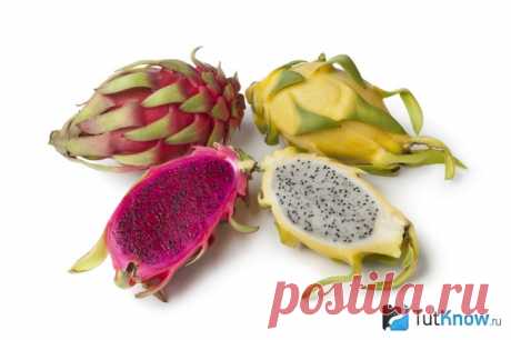 Питахайя (драгонфрут): полезные свойства, состав, фото