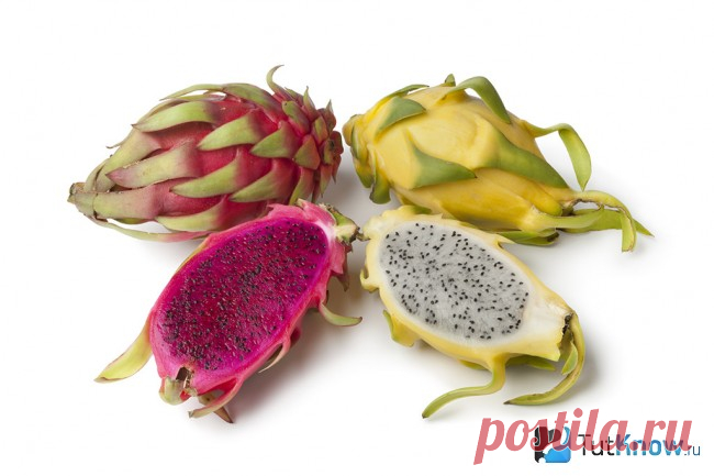 Питахайя (драгонфрут): полезные свойства, состав, фото
